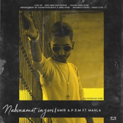 امیر Apsm و مهلا نبینمت اینجوری